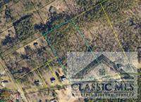 0 Dry Pond Road - Photo 1