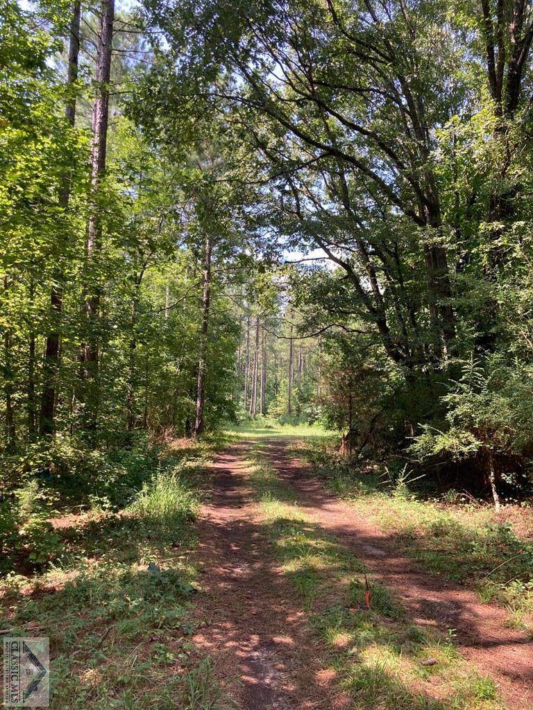 Lot 2 Wolfskin Road - Photo 1