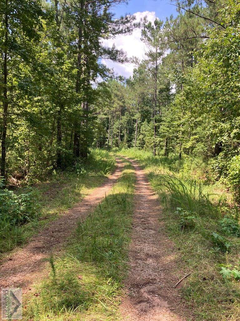 Lot 4 Wolfskin Road - Photo 1