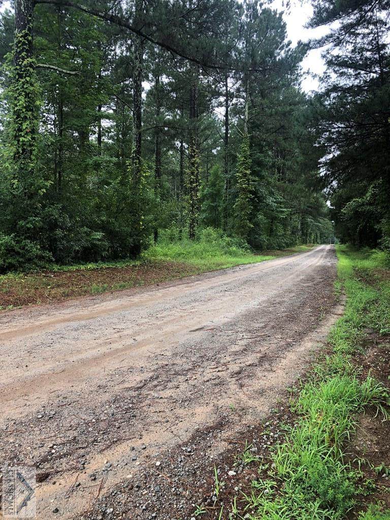 Tract 3 Pine Grove Road - Photo 1