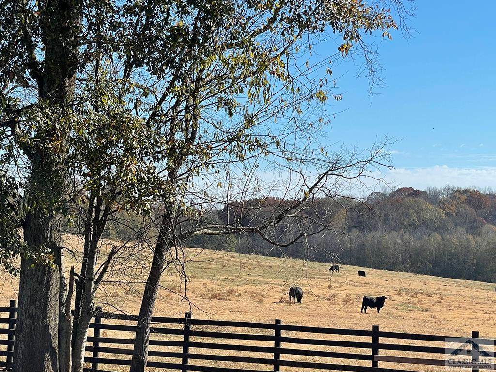 0 Bonner Lane - Photo 1