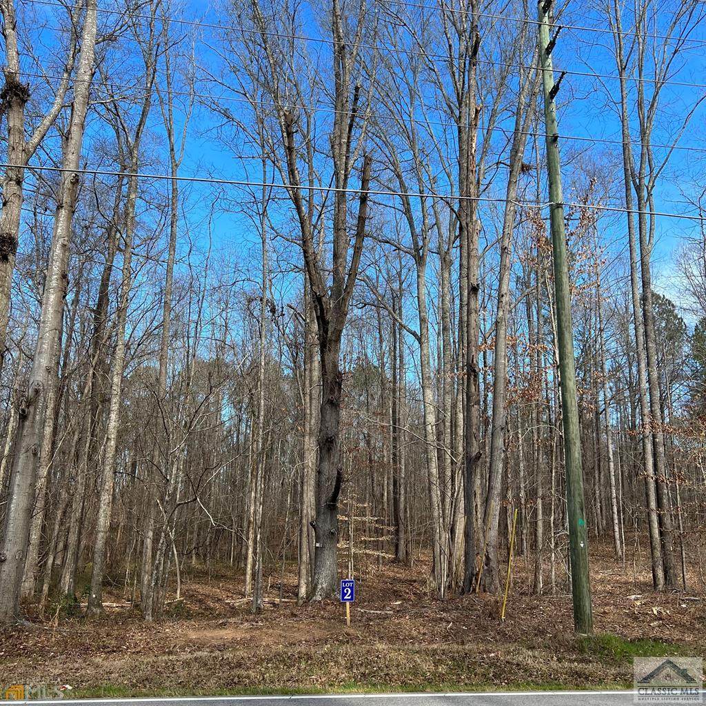 Tract 2 Monroe Jersey Road - Photo 1