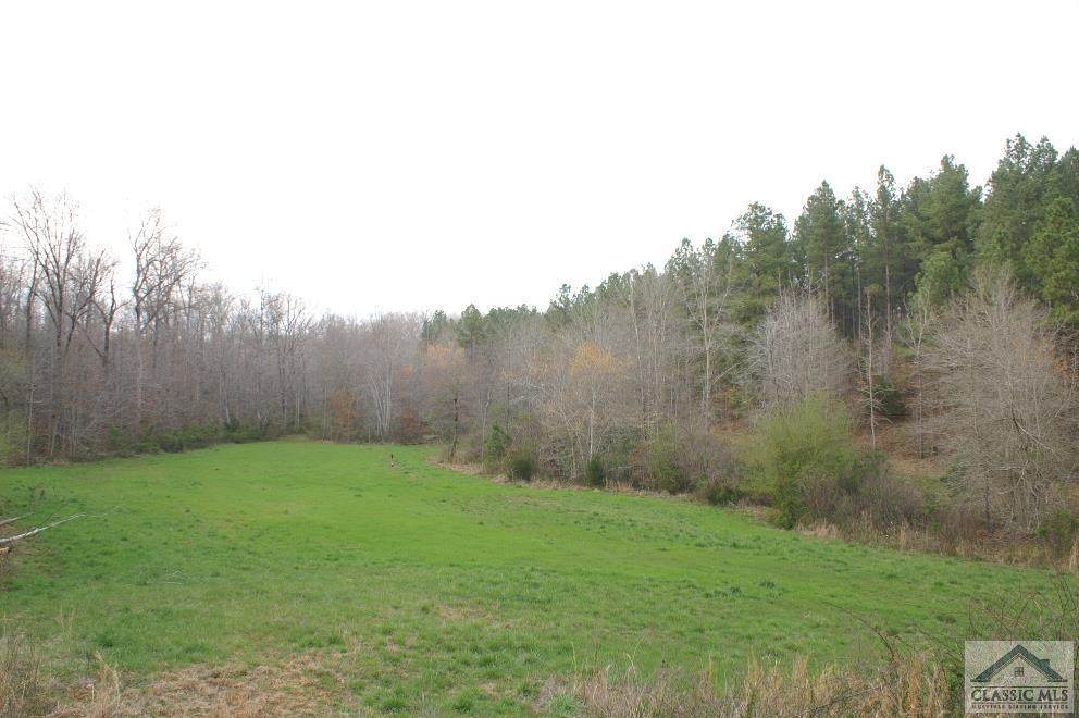 33.48 ac Jones Chapel Road E - Photo 1