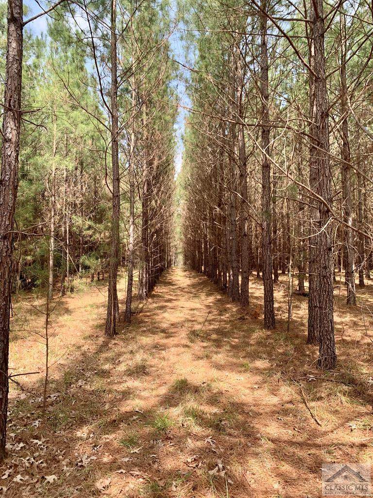 0 Skull Shoals Road - Photo 1