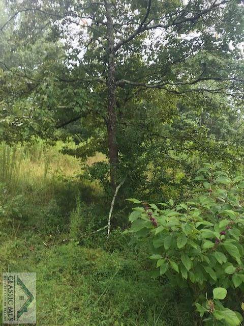 0 Meyer Farm Road - Photo 1