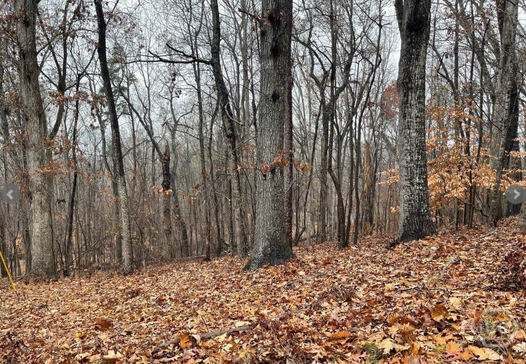 Lot 2134 Arrowhead Drive - Photo 1
