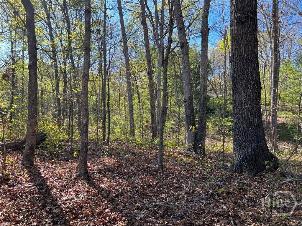 533 Pearwood - Photo 1