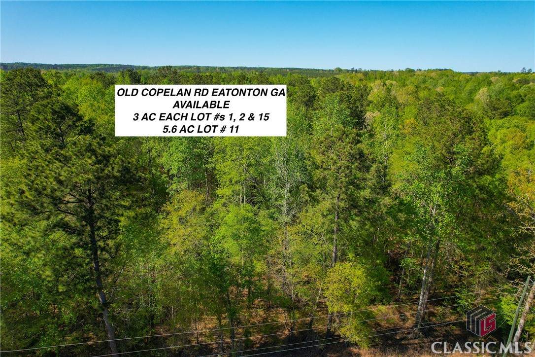 Lot 11 Old Copelan Road - Photo 1