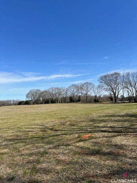 1042 Woodlawn Road - Photo 1