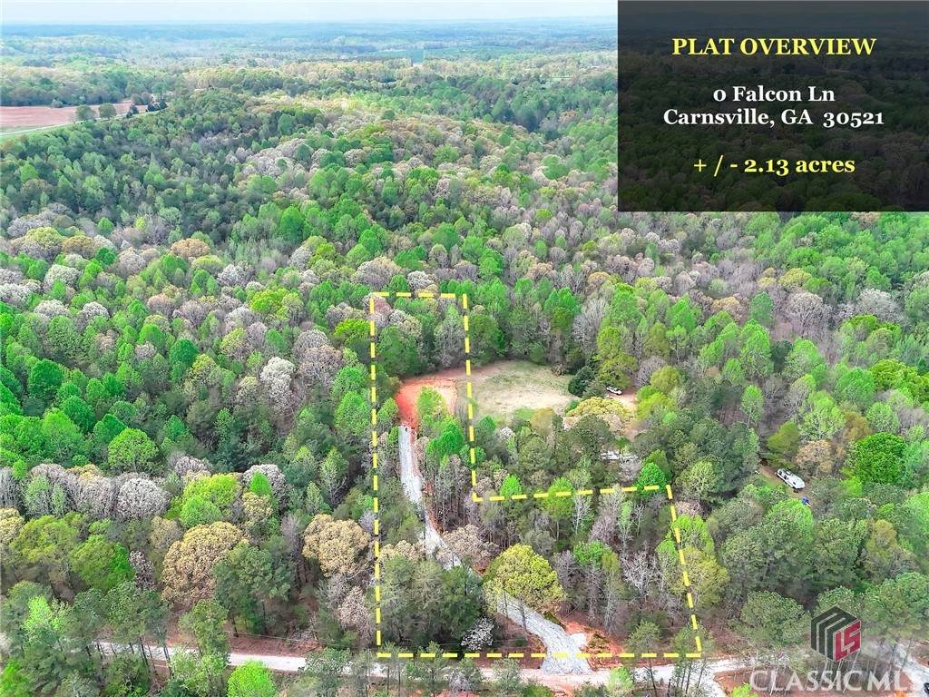 0 Falcon Lane - Photo 1
