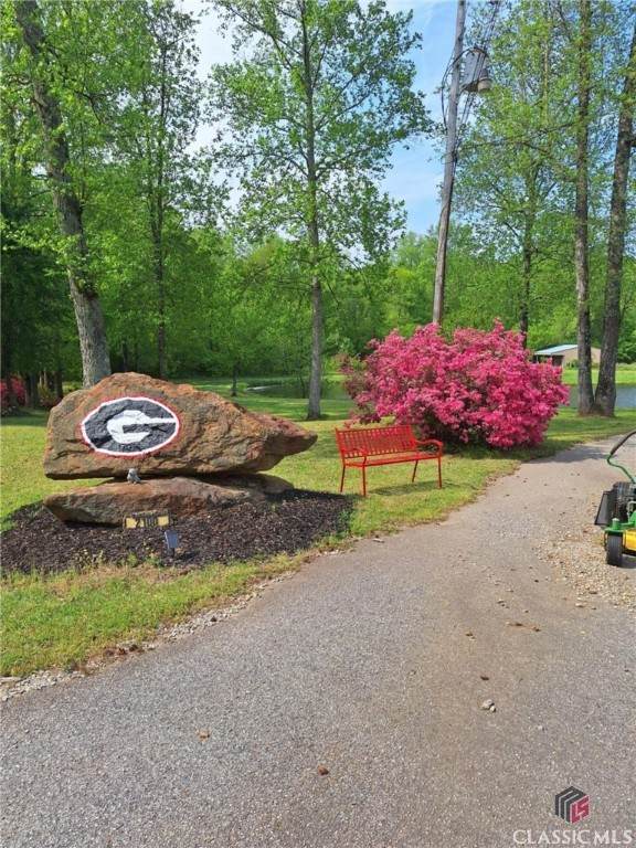 2100 Rays Church Road - Photo 1