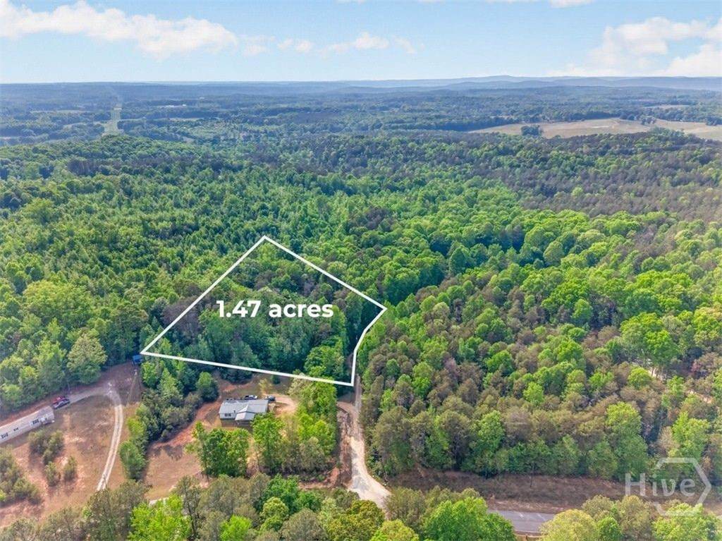 0 Dogwood Court - Photo 1