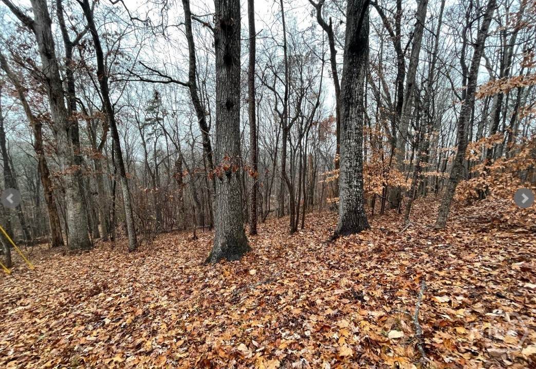 Lot 2134 Arrowhead Drive - Photo 1