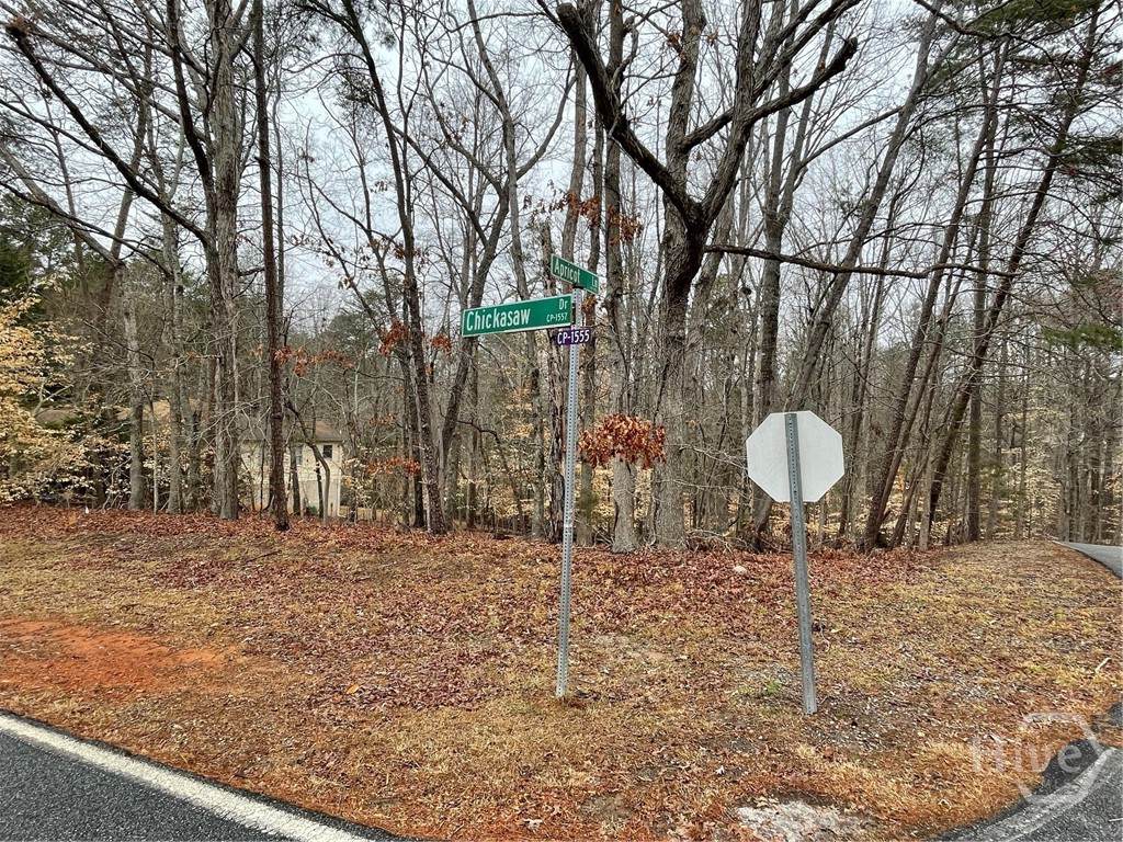 Lot 43 Chickasaw Drive - Photo 1