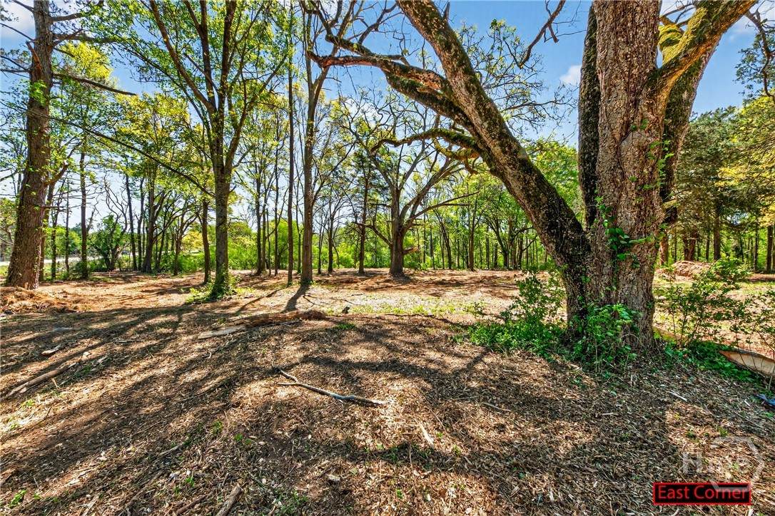 2330 Greensboro Highway - Photo 1