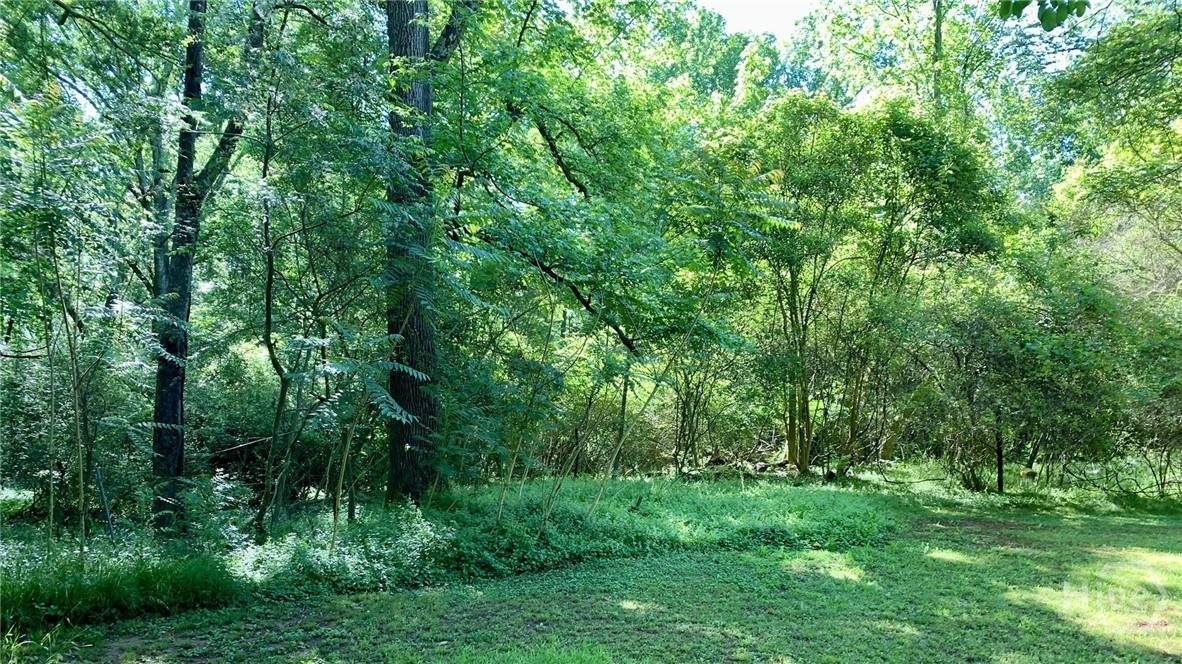 0 S Tanglewood Drive - Photo 1
