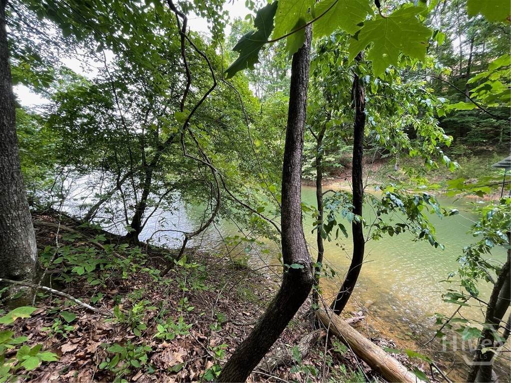 Lot 1682 Point Road - Photo 1