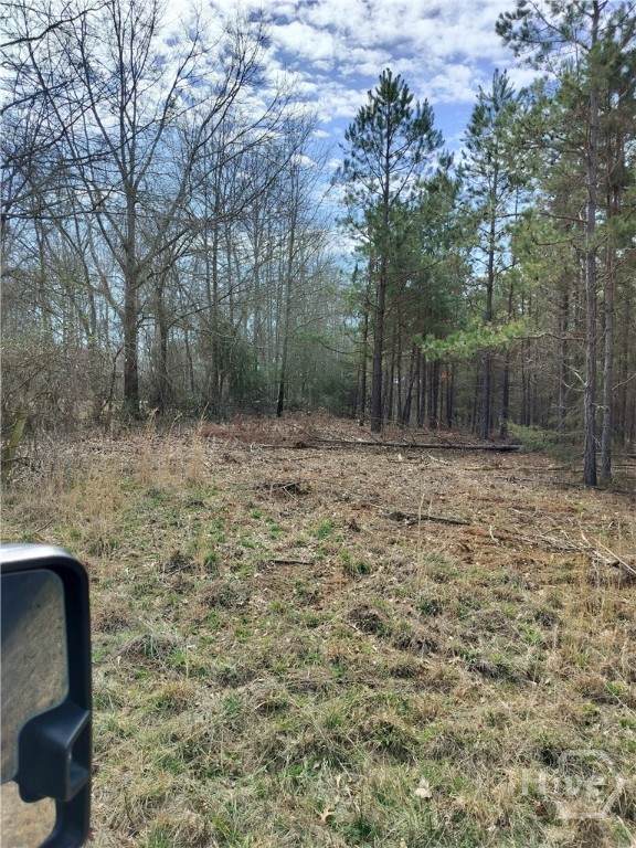 0 Hickory Log Circle - Photo 1