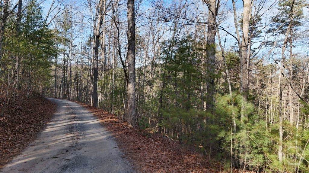 Lot 1 Gold Valley Road - Photo 1