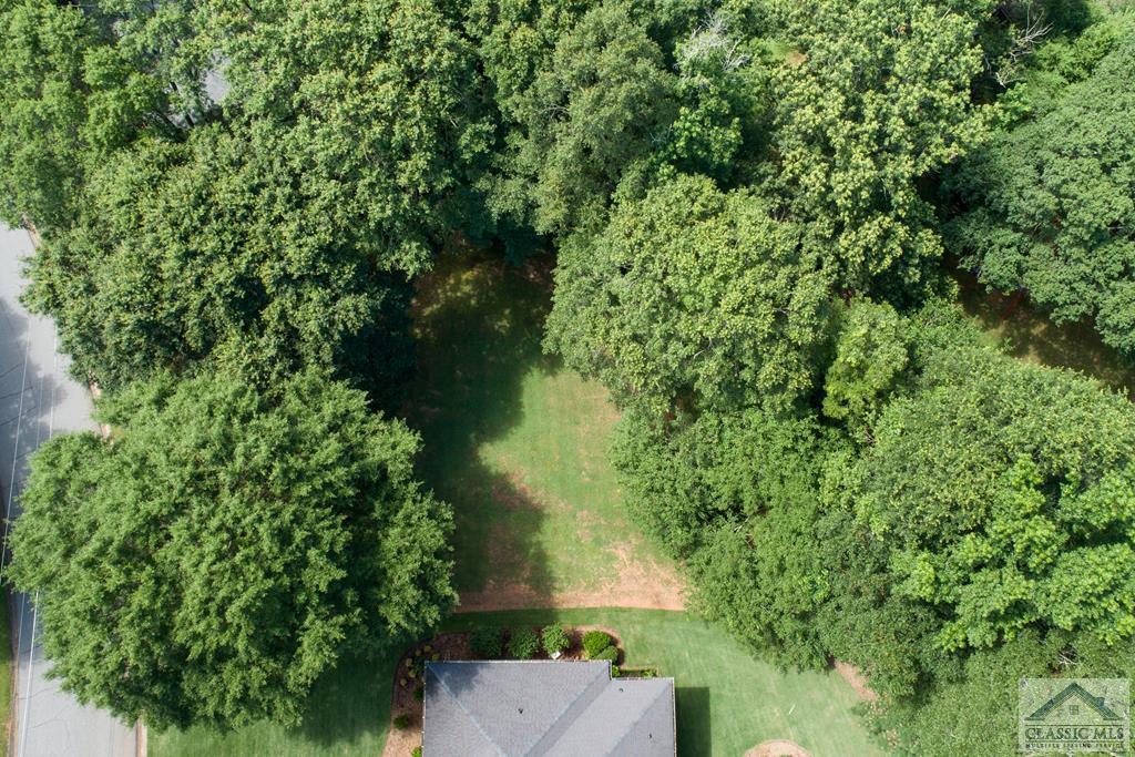 142 Witherspoon Road - Photo 1