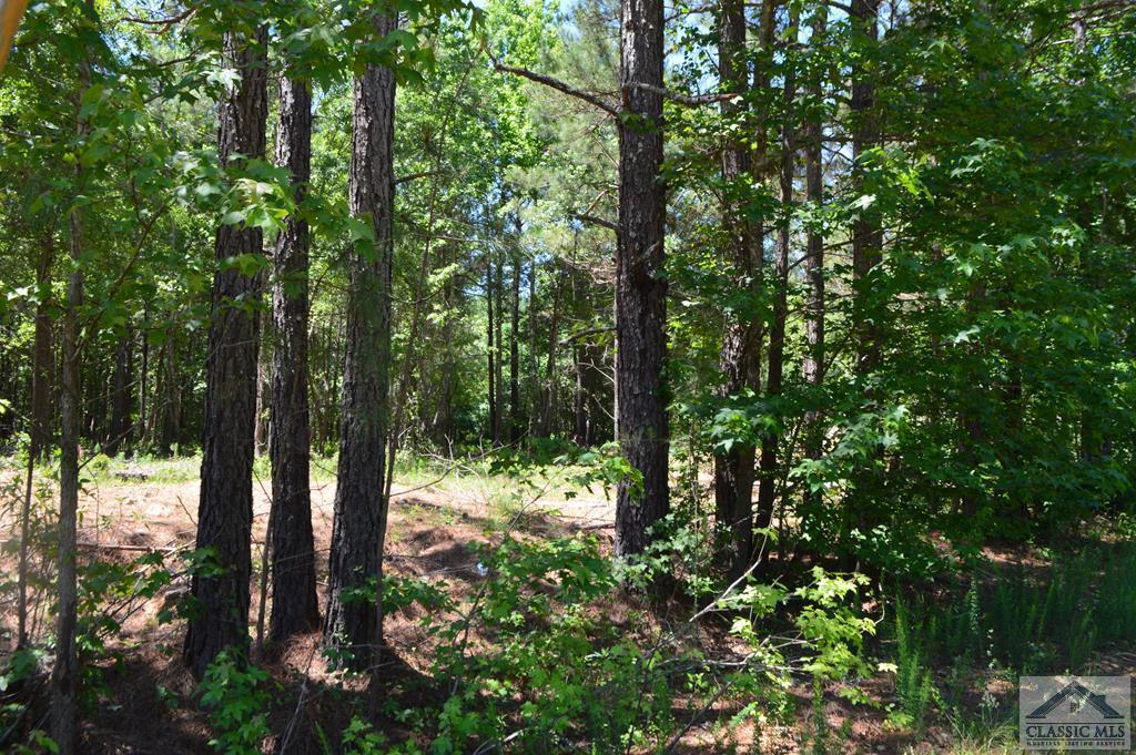 Tract 3 Union Church Road - Photo 1