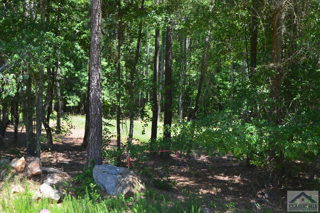 Tract 4 Union Church Road - Photo 1