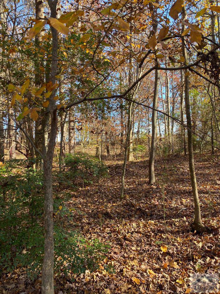 1060 Whippoorwill Road - Photo 1