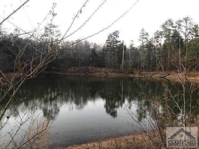 773 Winn Lake Road - Photo 1
