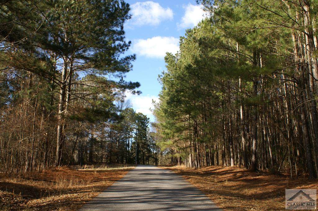 2990 Flat Rock Road - Photo 1