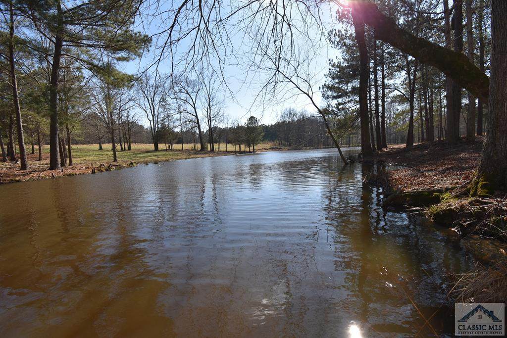 365 James Holcomb Road - Photo 1