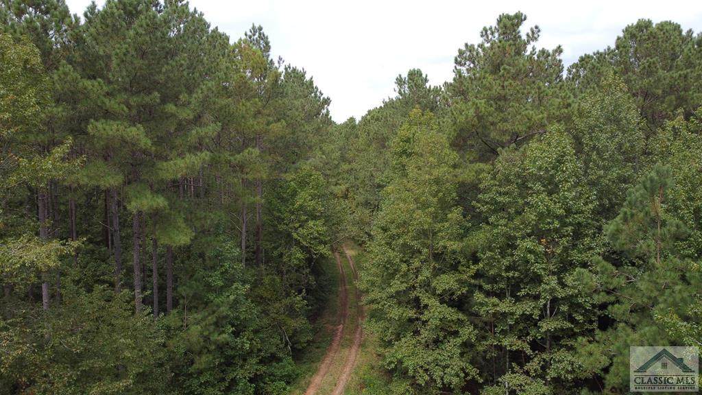 Lot 4 Wolfskin Road - Photo 1