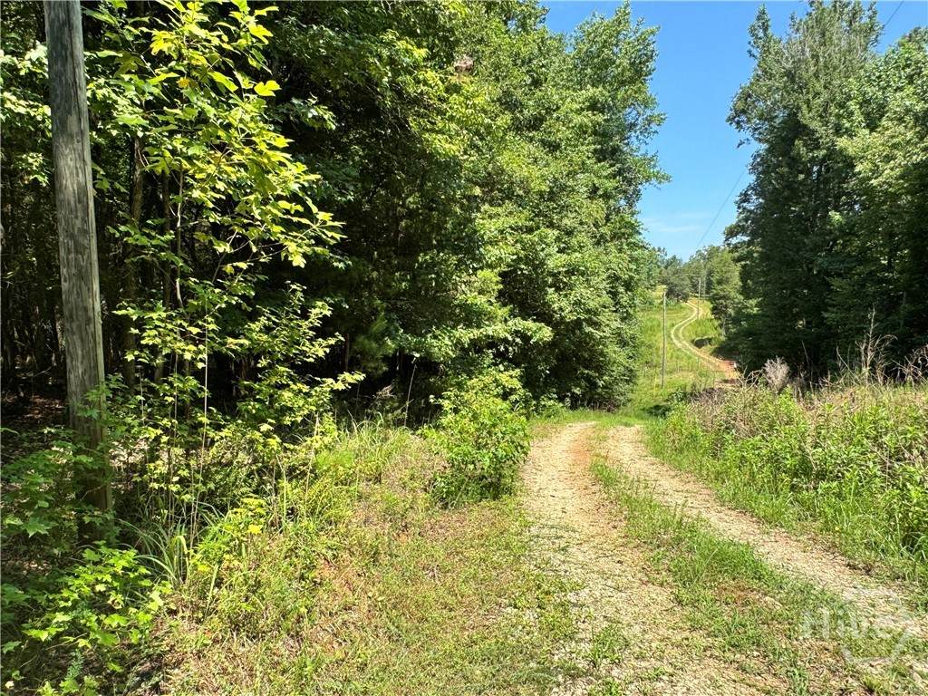 0 Hwy 29 - Photo 1