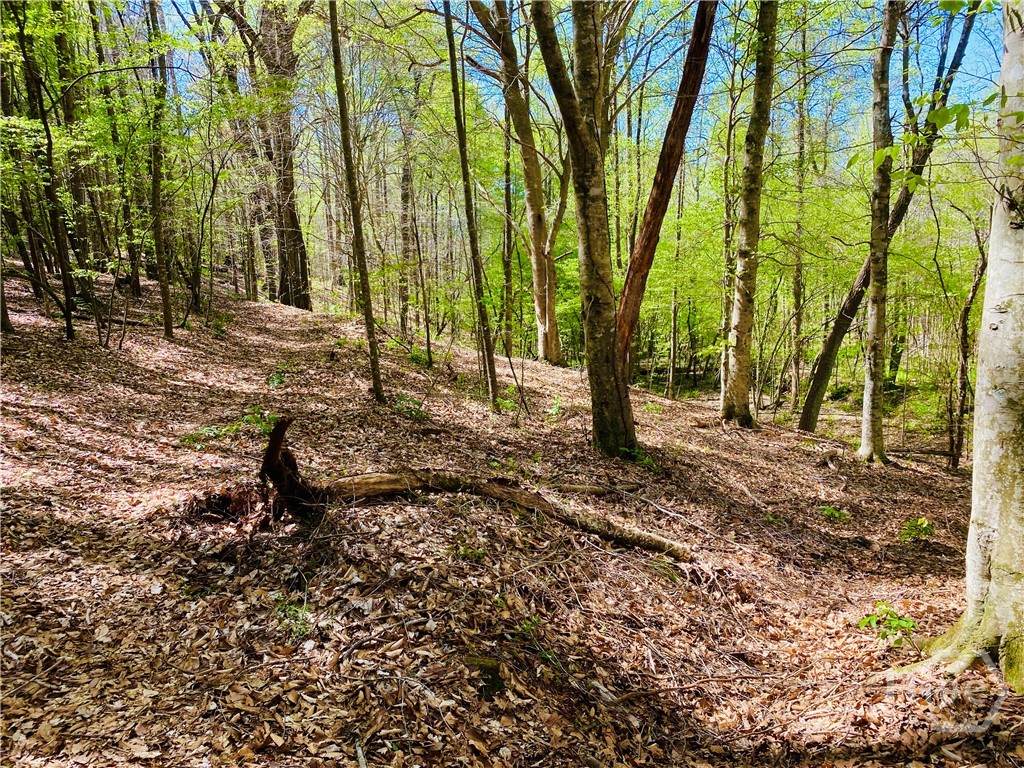 2B Curry Falls Trail Road - Photo 1