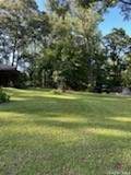 97 Abby Lane - Photo 50