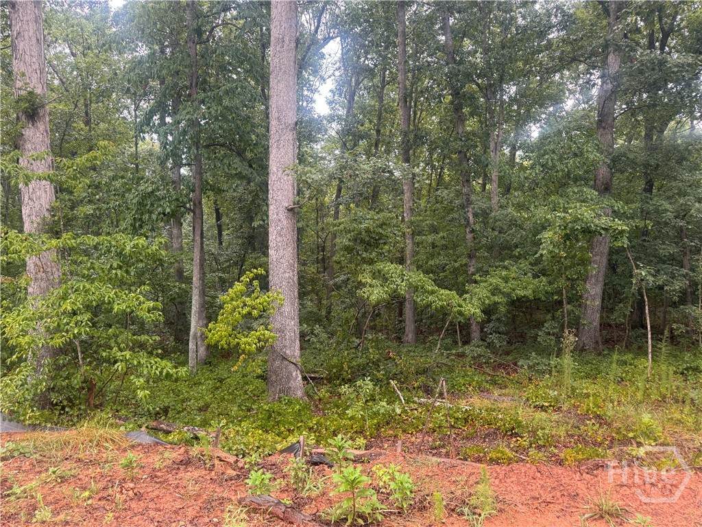 2A Curry Falls Trail Road - Photo 1