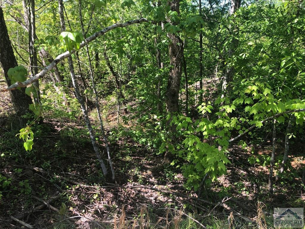 0 Oliver Bridge Road - Photo 1