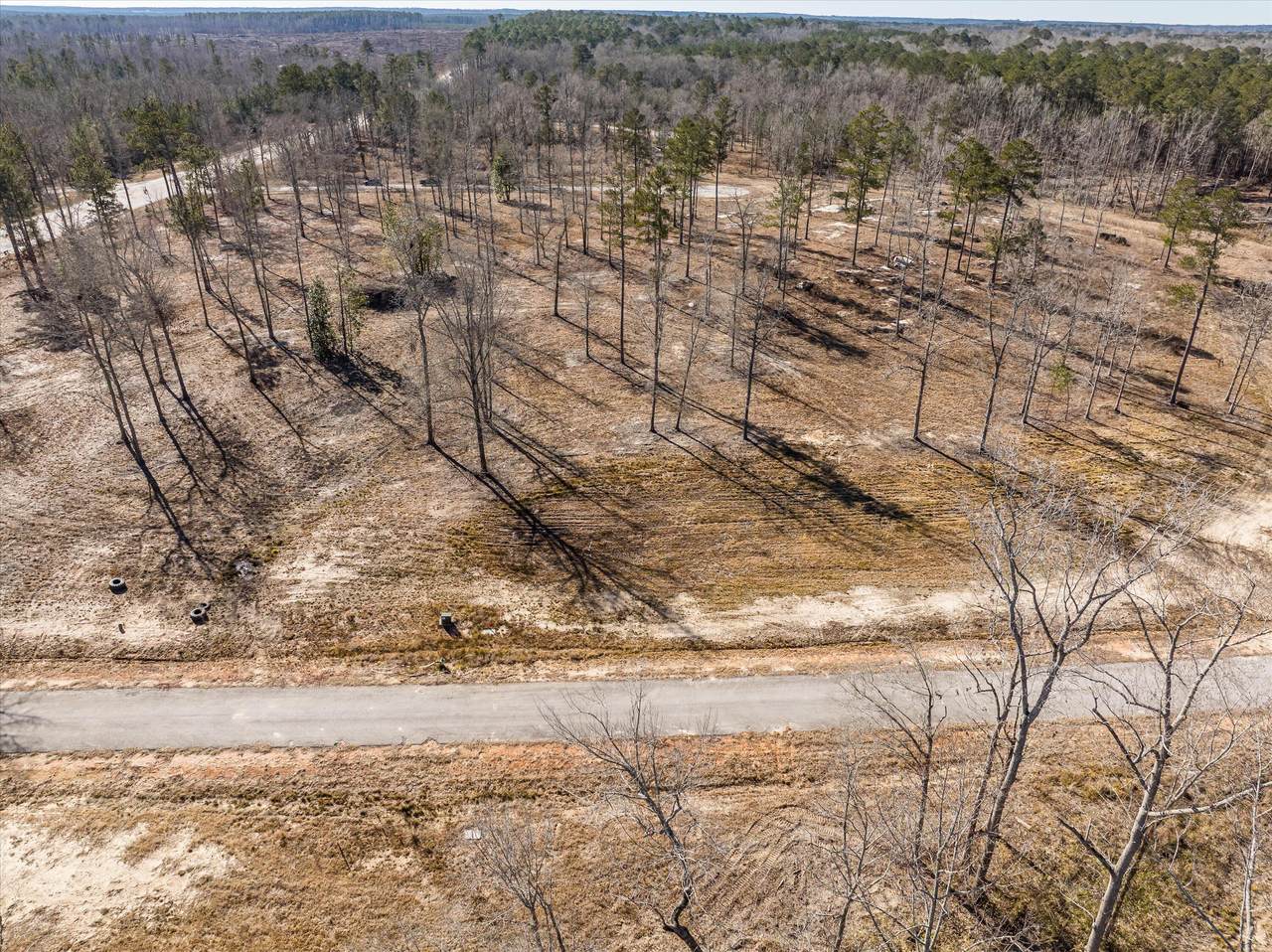 141 Alcovy Road - Photo 1