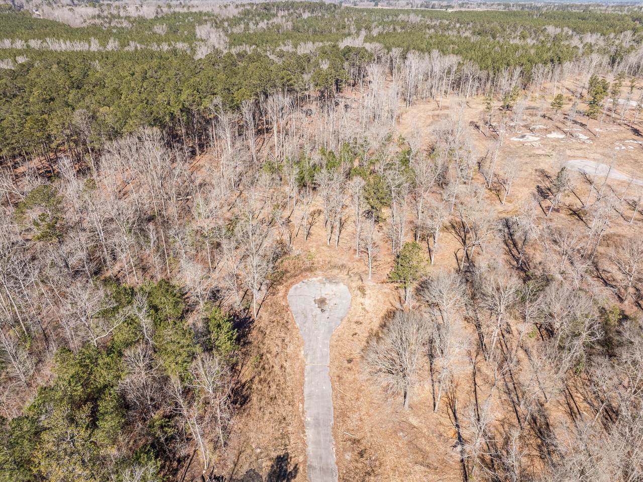 150 Gin Branch Road - Photo 1