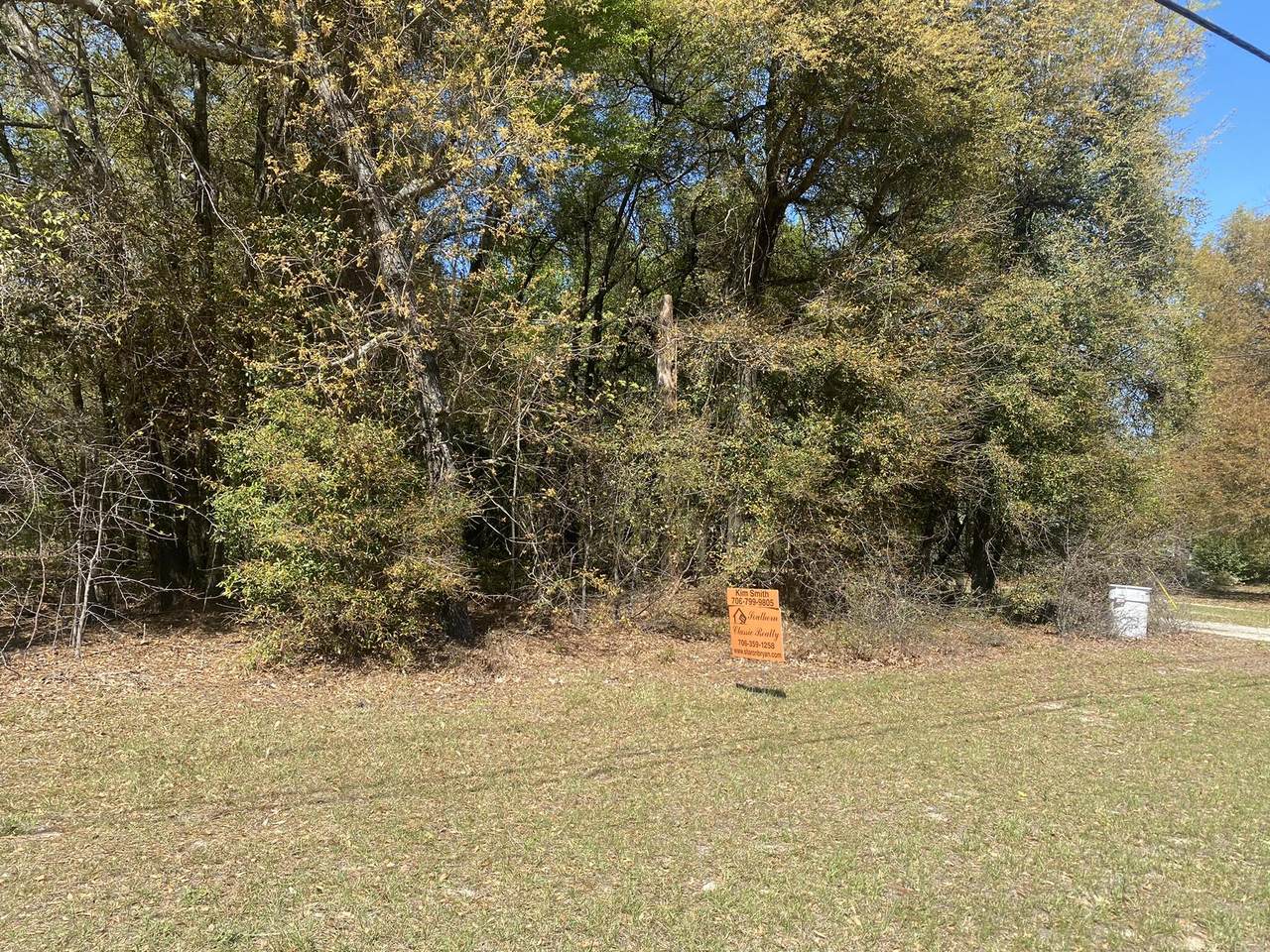 961 Horseshoe Road - Photo 1