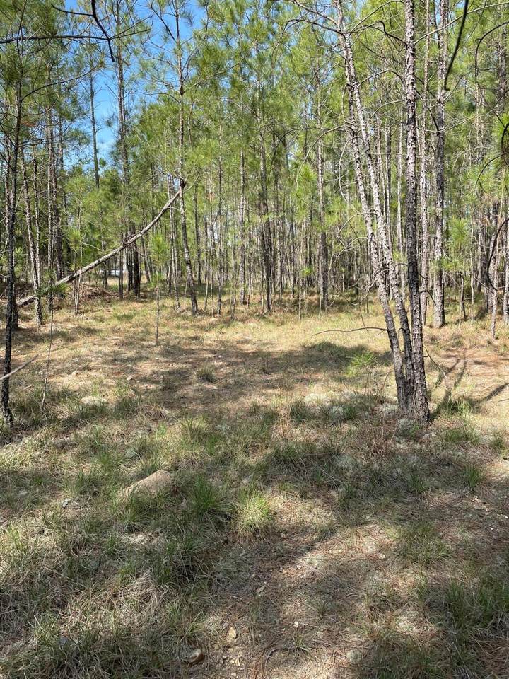14.1 ACRES Highway 220 E - Photo 1