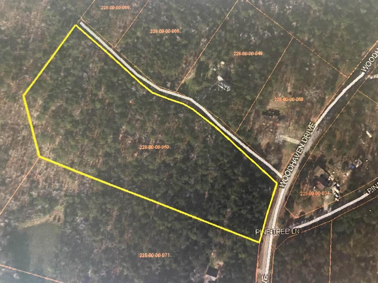 0 Woodhaven Road - Photo 1