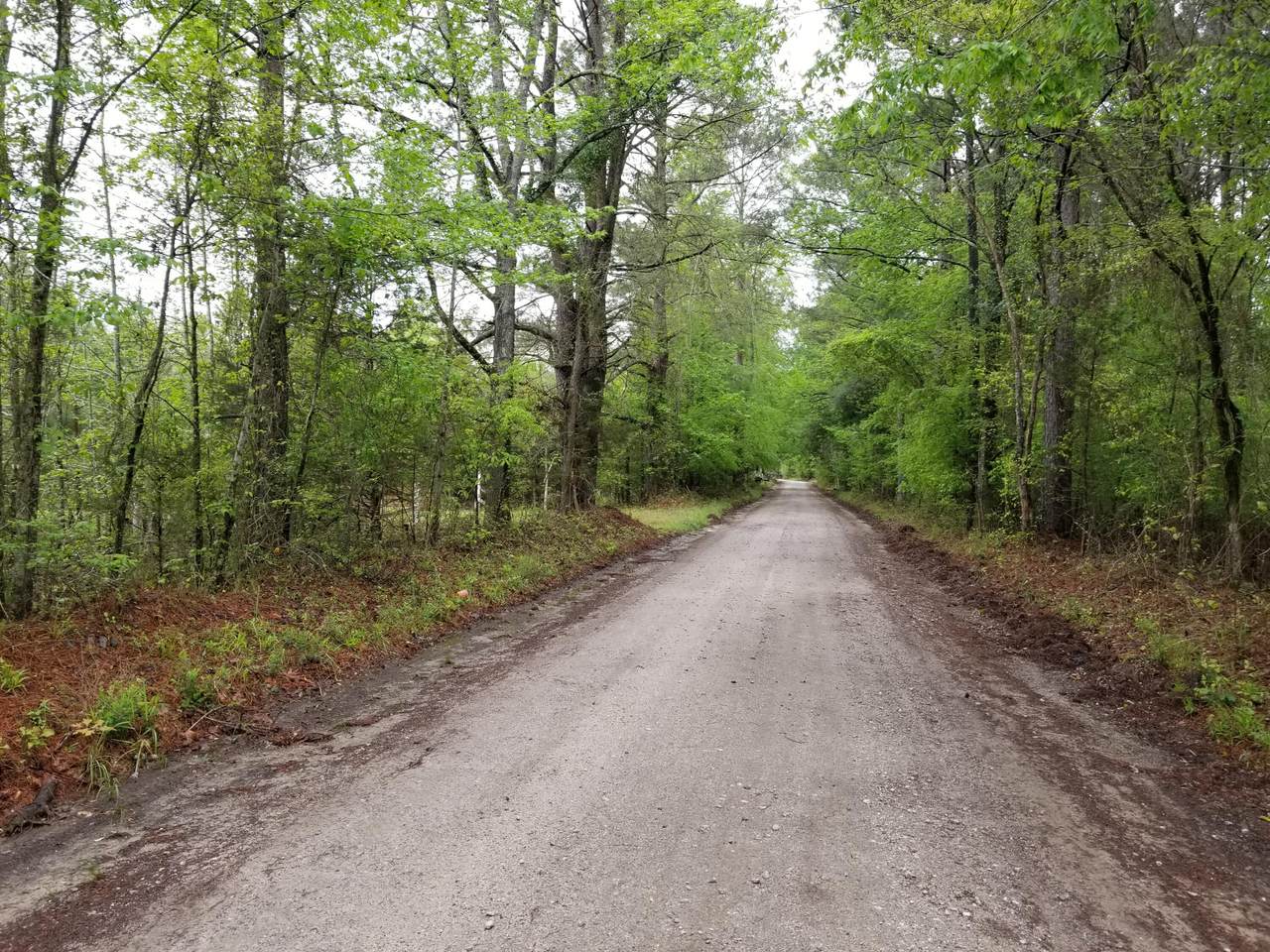 1651 Goldman Johnson Road - Photo 1
