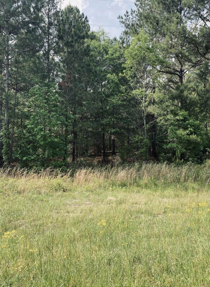 1595 Happy Valley Road - Photo 1
