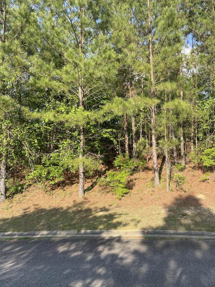 168 Grassy Creek Lane - Photo 1