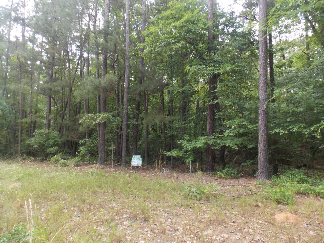 0 Doe Run Rd - Photo 1