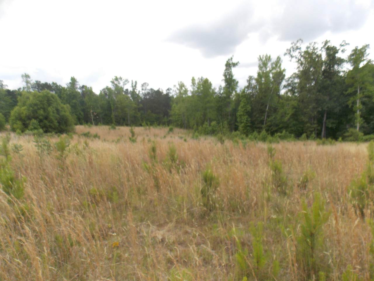 13 Buckhead Rd - Photo 1
