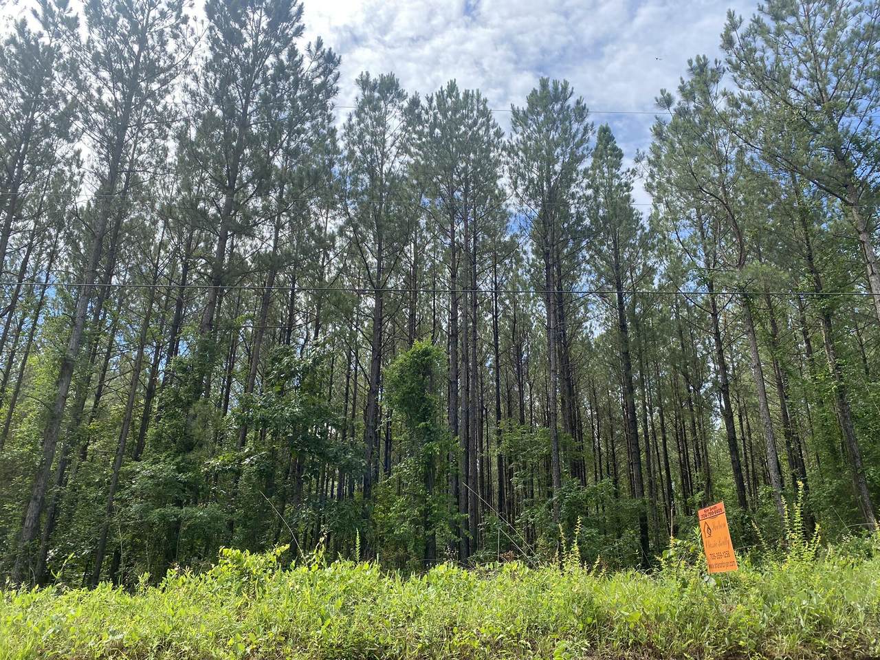 622 Bent Knee Road - Photo 1