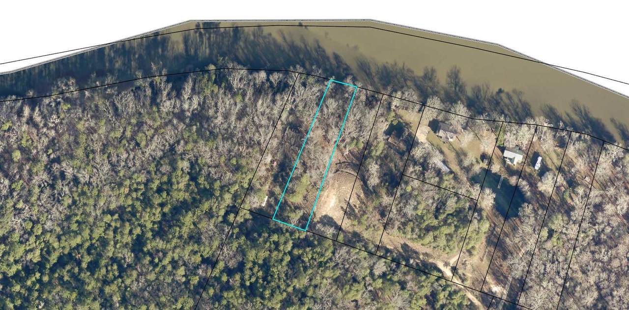 2 Lot On River - Photo 1