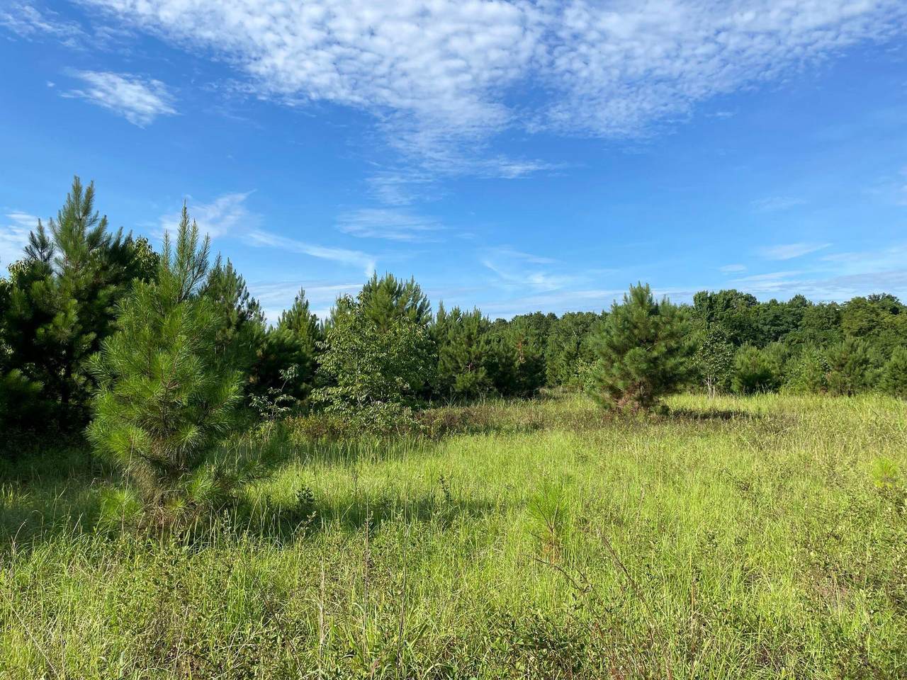 7181 Moontown Road - Photo 1