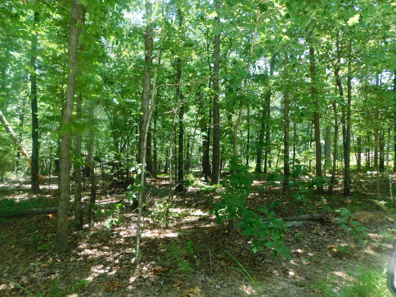 0 Trulock - Photo 1